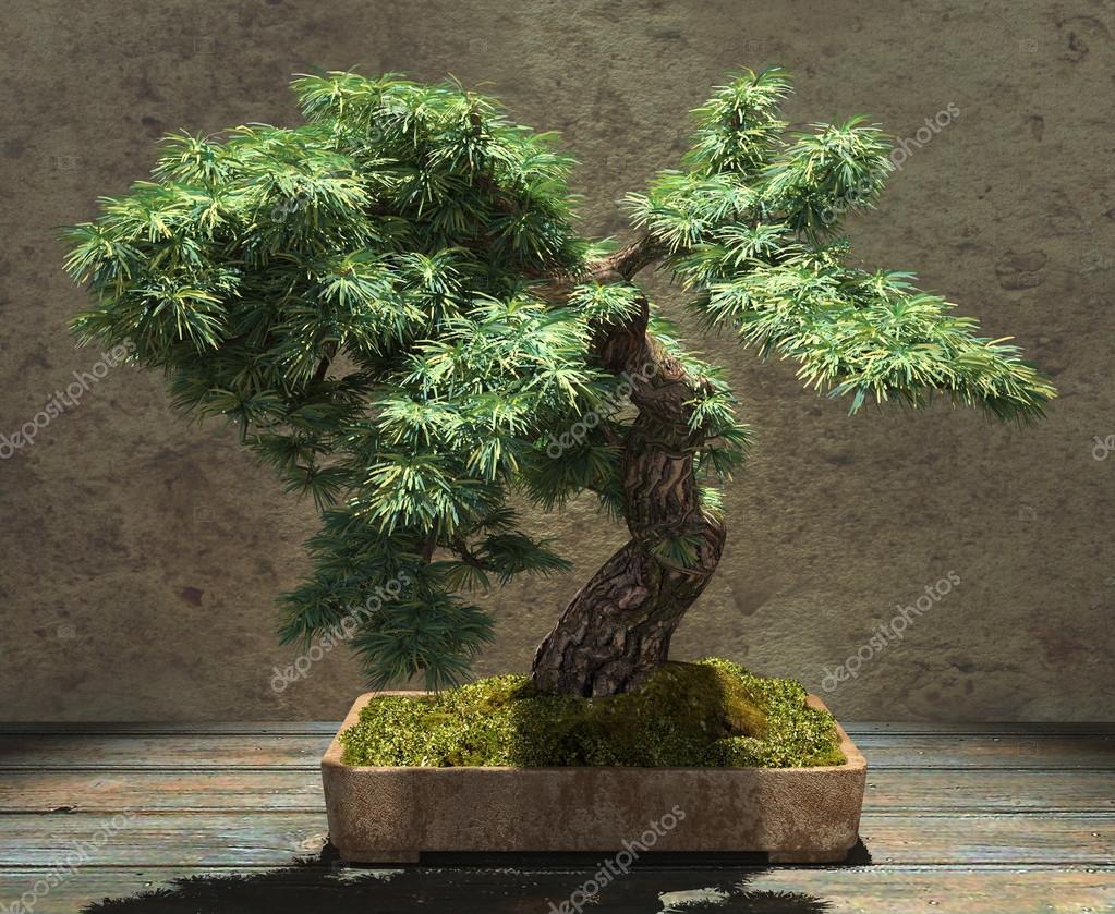 Decorative Bonsai Tree