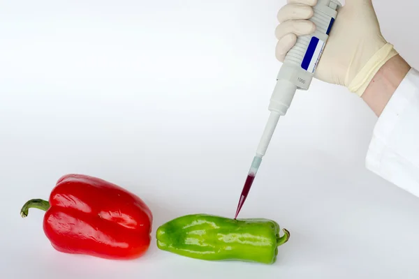 GMO red peppers
