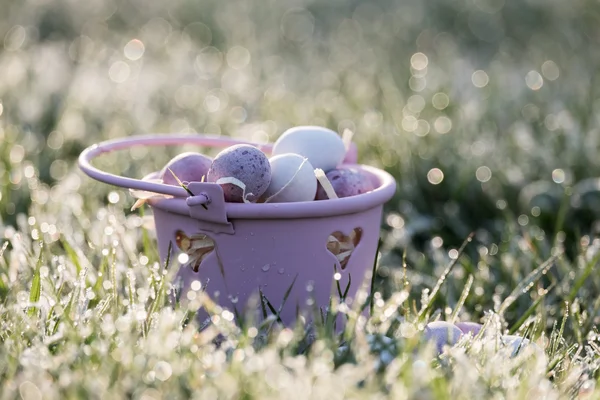 Chocolate mini eggs