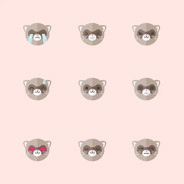 Vector minimalistic flat ferret emotions icon set
