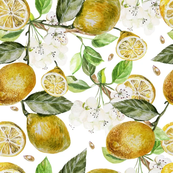 Beautiful watercolor pattern with flowers and citrus on a white background