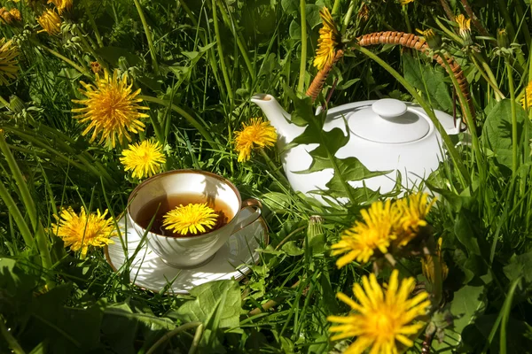 Teapot and cup of white porzelan with dandelion tea standing in the maedow, medical herb from nature\'s pharmacy