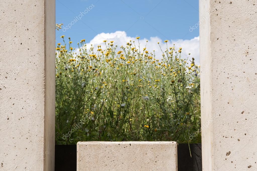 Diseño moderno jardÃn, pared de bloques de hormigón con una ... Jardín diseño Pared