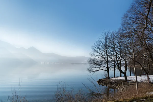 Mountain lake in winter with bare trees