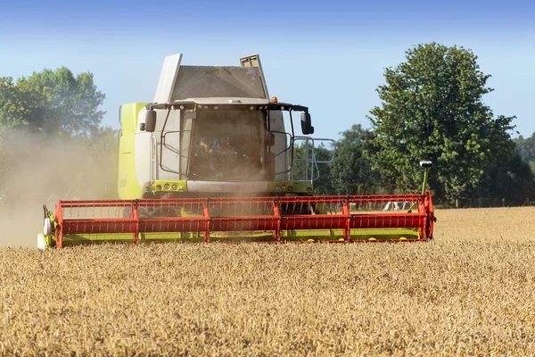 Combine harvester on a golden wheat field