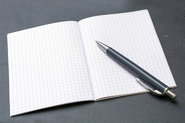 Ballpoint pens and a blank notebook with graph paper