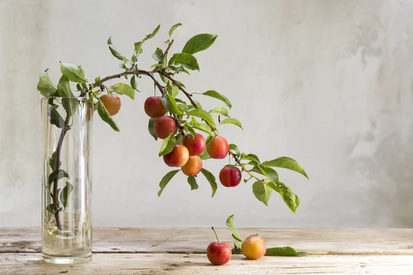 Branch with red wild plums in a glass vase on a rustic wooden ta