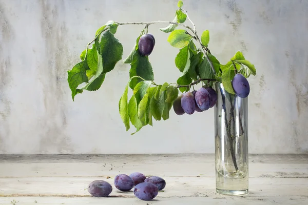Branch with plums in a  vase and some fallen plums on a rustic w