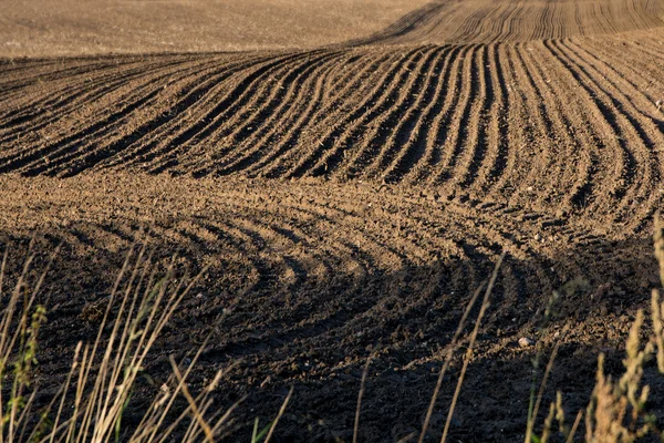 Ploughed field with dark earth and curved tracks