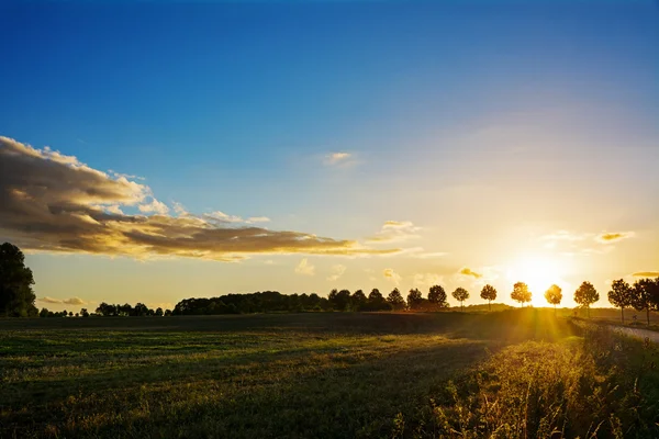 Sunset over a idyllic country landscape with fields and trees