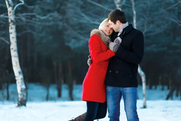 Lovely couple in love, tenderness, winter day