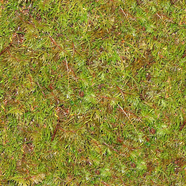 Ground Cover Seamless Texture Tile