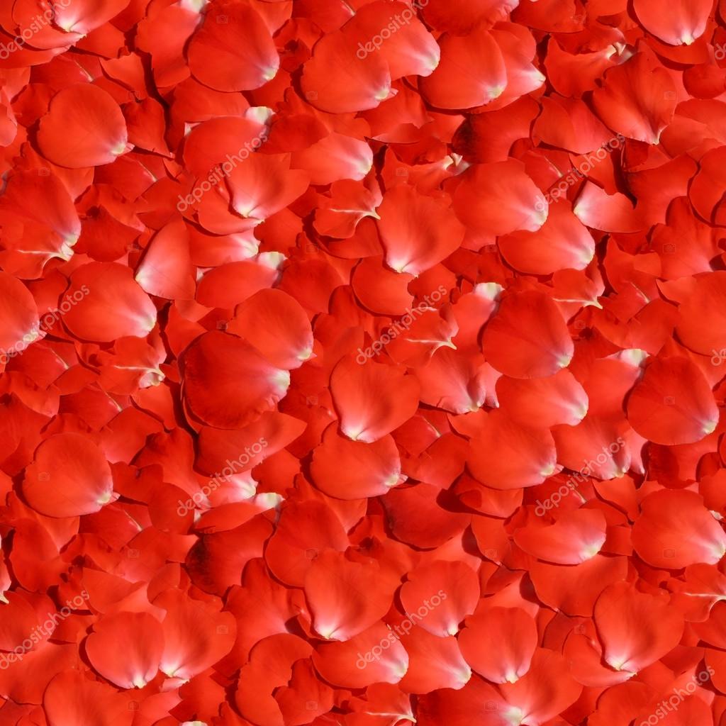 Rose Petals Seamless Texture Tile — Stock Photo