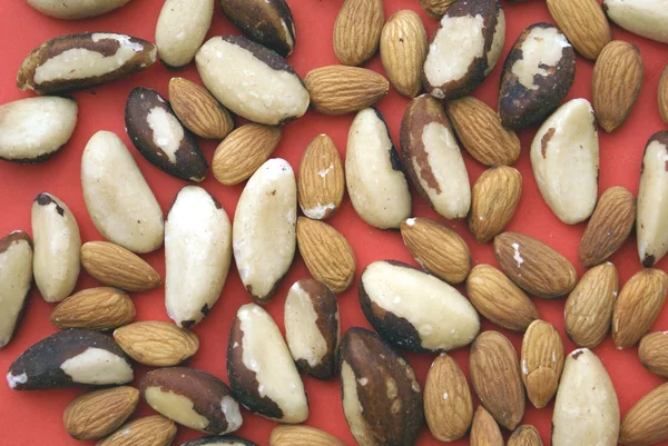 Nuts. Brazil nut and almond