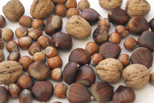 Nut. nuts. hazelnut, walnut, chestnut. mixed nuts