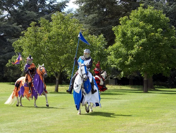 Knights riding horses holding flags