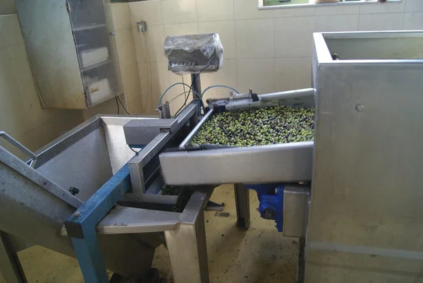 Agricultural olive processing machinery