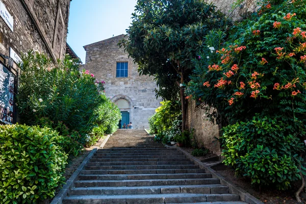 A gentle staircase drives to the church of St. Francis through a bush of orange Bignonia
