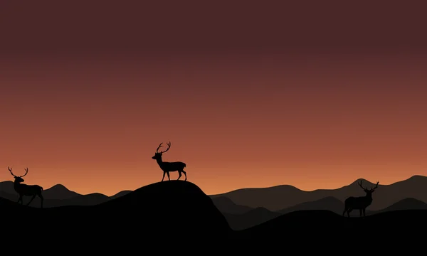At sunset antelope landscape silhoutte