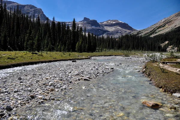 Water flows in the rockies of British Colombia, Canada