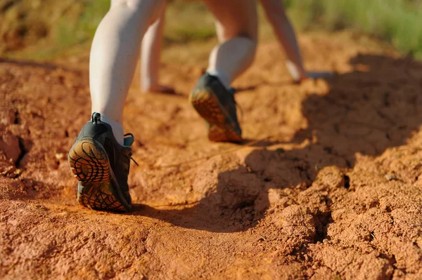 Concept: woman\'s legs in motion on a mountain footpath.