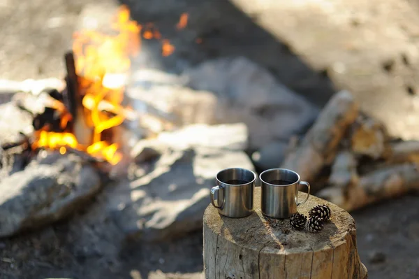 Two metal circles in the woods near the fire.