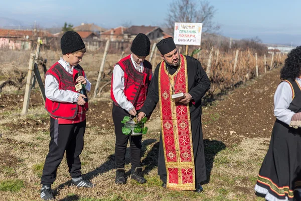 Pruning of the vineyards ritual in Bulgaria