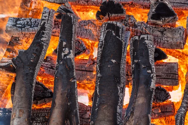 燃烧木头一大的堆 - 图库照片nikolay100#8145