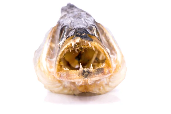 Open mouth dry fish