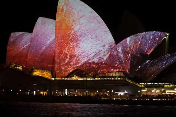 Sydney opera house on vivid festival