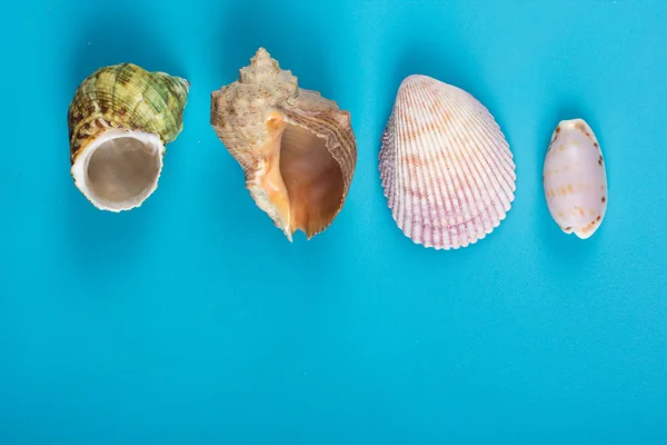 Summer sea vacation mockup background. Notebook blank page with Travel items on blue table. Sea shells, pebbles, top view.