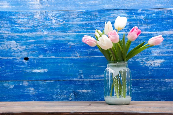Colorful tulips flowers on blue wooden desk table background. Copy space