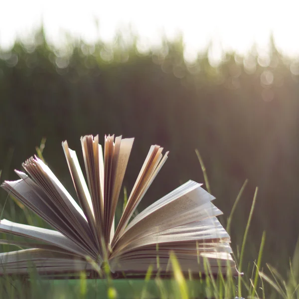 Back to school. Open hardback book with fanned pages on blurred nature background. Summer spring background with open book.  Copy Space. Education background.