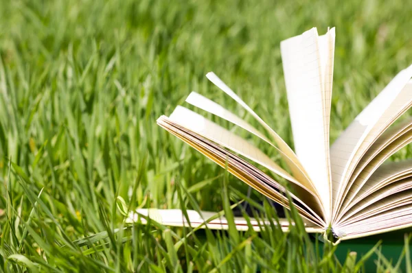 Stack of books and open book and bokeh. Back to school. Open book fanned pages. Copy Space. Summer spring backgound