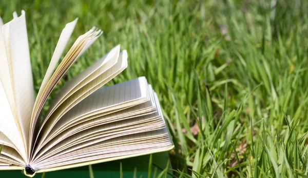 Stack of books and open book and bokeh. Back to school. Open book fanned pages. Copy Space. Summer spring backgound