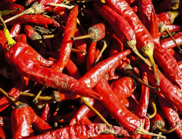 Red chillies background