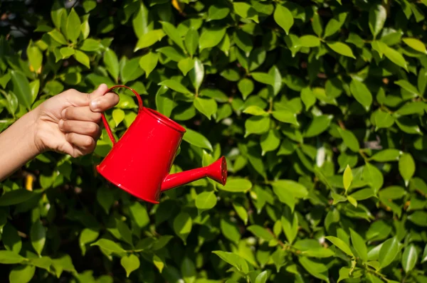 Red watering can on grass background