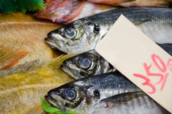 Fish market in Japan