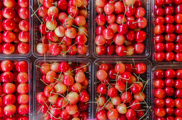 Red cherries in market