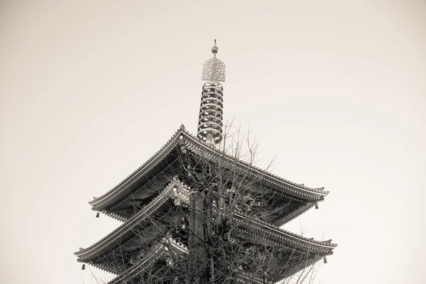 Shinto Pagoda  at Senjoji Temple in Japan black and white