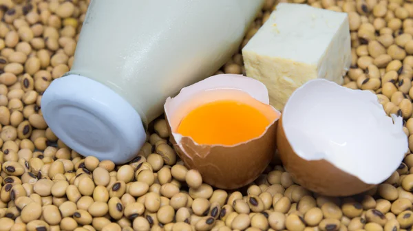 Source of Protein : Soy milk ,tofu and egg