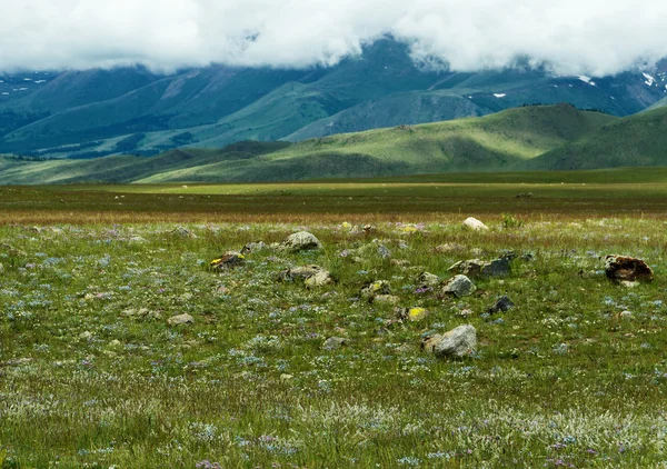 Steppe mountains stones