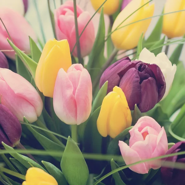 Bouquet of pink tulips gentle tones