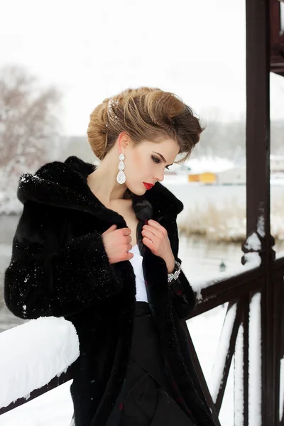 Winter Girl in Luxury Fur Coat