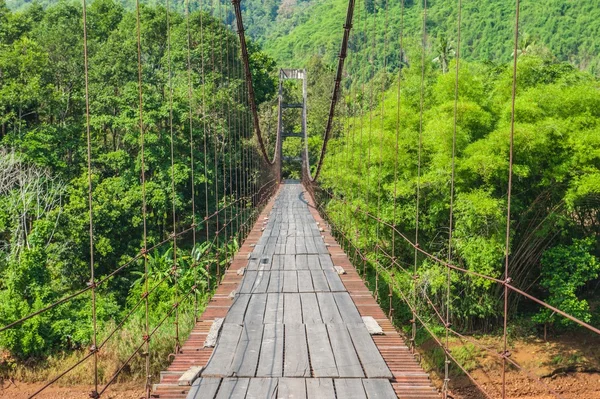 Pedestrian bridge in forest