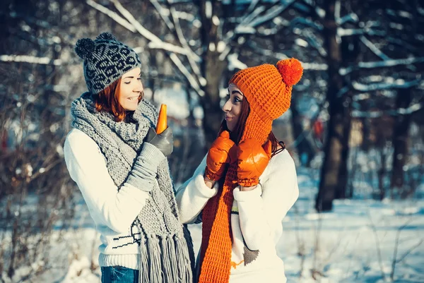 Two girl friends in winter outdoors