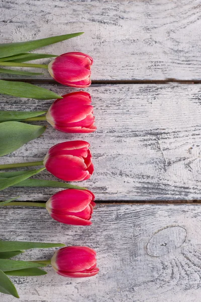 Flowers, gift, tulips, background