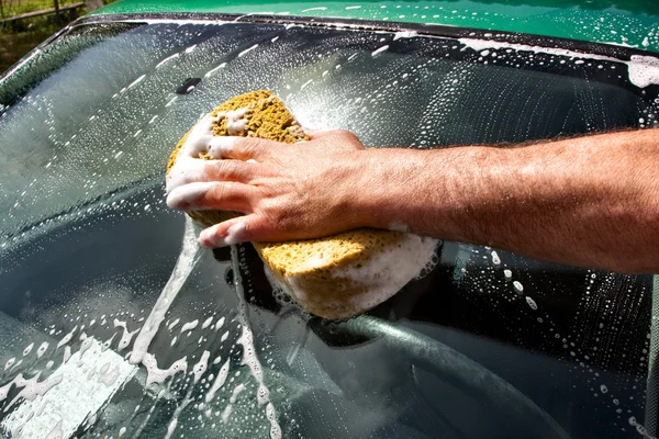 Man  washing car