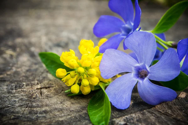 Bunch of violet and yellow flowers with green leaf