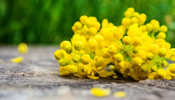 Bunch of violet and yellow flowers with green leaf